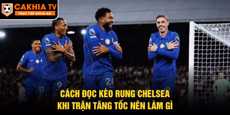 Cách Đọc Kèo Rung Chelsea – Khi Trận Tăng Tốc Nên Làm Gì