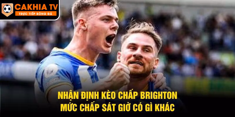 Nhận Định Kèo Chấp Brighton
