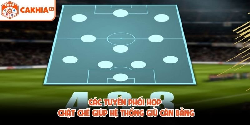 Các tuyến phối hợp chặt chẽ giúp hệ thống giữ cân bằng